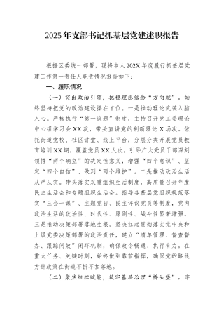 2025年支部书记抓基层党建述职报告