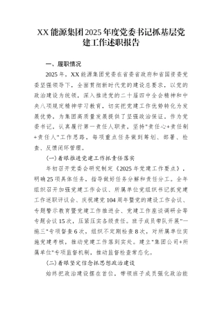 XX能源集团2025年度党委书记抓基层党建工作述职报告