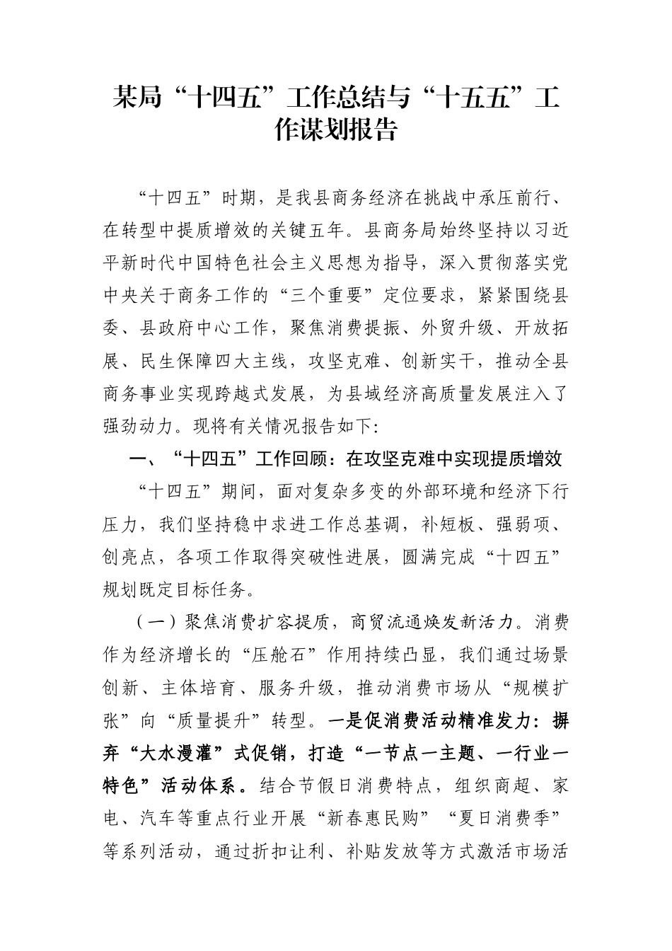 某局“十四五”工作总结与“十五五”工作谋划报告_第1页