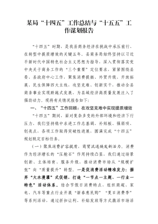 某局“十四五”工作总结与“十五五”工作谋划报告