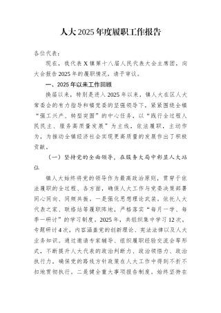 人大2025年度履职工作报告