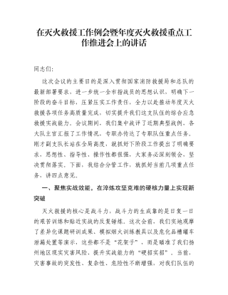 在灭火救援工作例会暨年度灭火救援重点工作推进会上的讲话