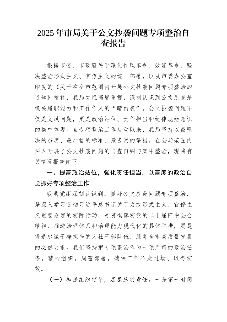 2025年市局关于公文抄袭问题专项整治自查报告_第1页