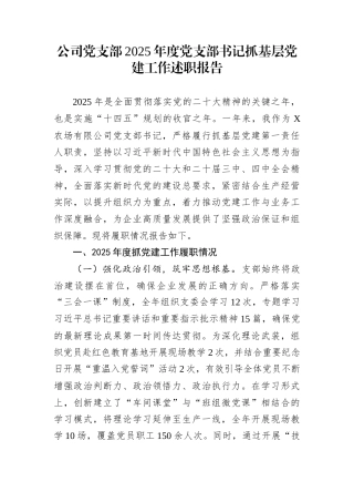公司党支部2025年度党支部书记抓基层党建工作述职报告