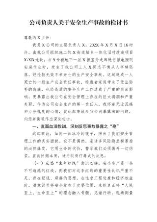 公司负责人关于安全生产事故的检讨书