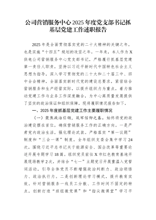 公司营销服务中心2025年度党支部书记抓基层党建工作述职报告