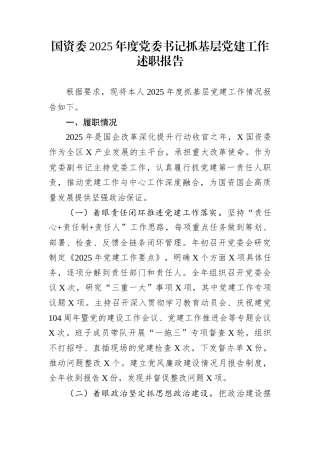 国资委2025年度党委书记抓基层党建工作述职报告