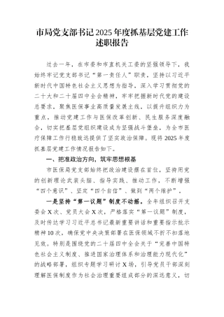 市局党支部书记2025年度抓基层党建工作述职报告