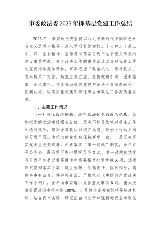 市委政法委2025年抓基层党建工作总结