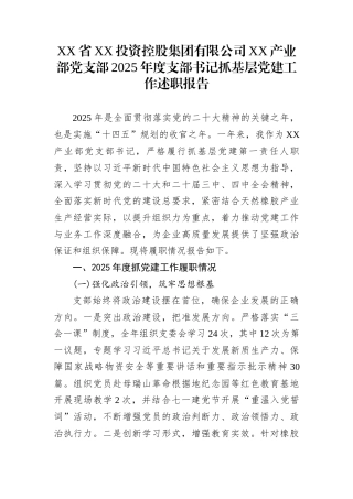 XX省XX投资控股集团有限公司XX产业部党支部2025年度支部书记抓基层党建工作述职报告