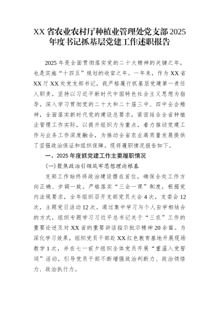 XX省农业农村厅种植业管理处党支部2025年度书记抓基层党建工作述职报告