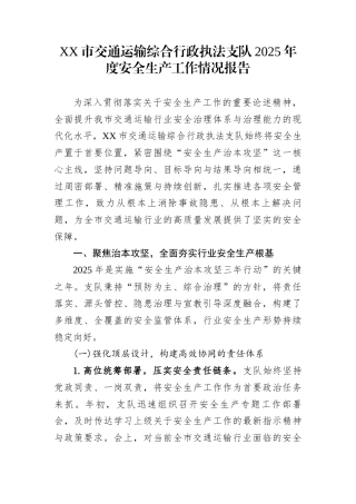 XX市交通运输综合行政执法支队2025年度安全生产工作情况报告