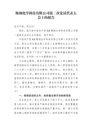 鞍钢化学科技有限公司第二次党员代表大会上的报告