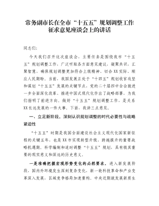 常务副市长在全市“十五五”规划调整工作征求意见座谈会上的讲话