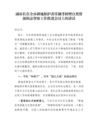 副市长在全市耕地保护责任制考核暨自然资源执法督察工作推进会议上的讲话