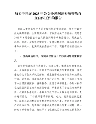 局关于开展2025年公文抄袭问题专项整治自查自纠工作的报告