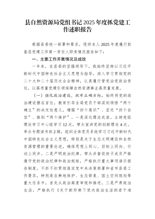 县自然资源局党组书记2025年度抓党建工作述职报告
