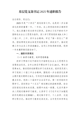 基层党支部书记2025年述职报告
