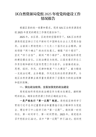 区自然资源局党组2025年度党的建设工作情况报告