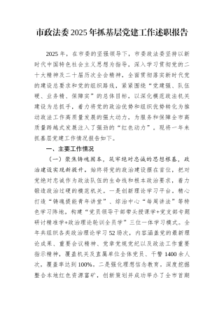 市政法委2025年抓基层党建工作述职报告