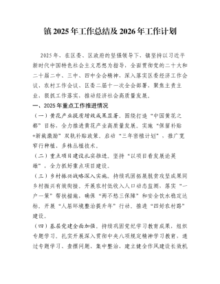 镇2025年工作总结及2026年工作计划