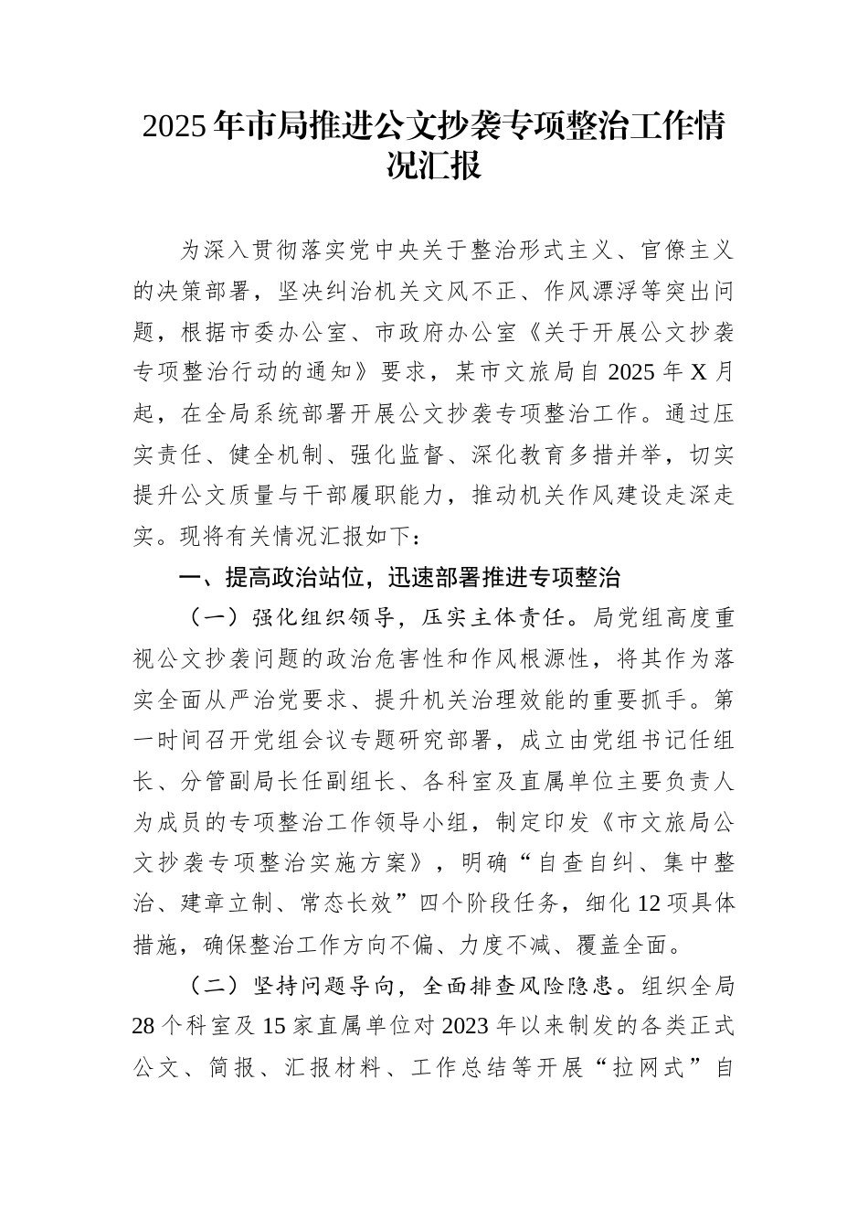 2025年市局推进公文抄袭专项整治工作情况汇报_第1页