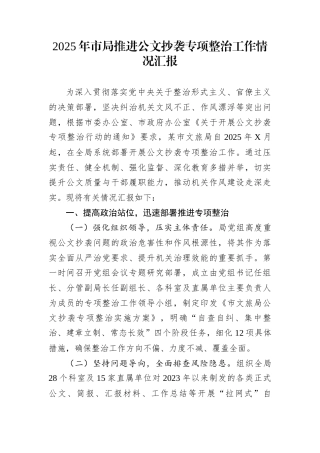 2025年市局推进公文抄袭专项整治工作情况汇报
