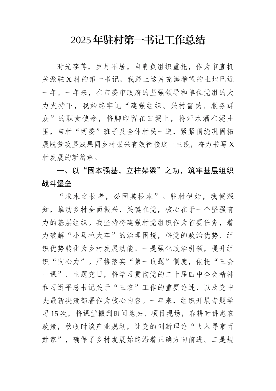 2025年驻村第一书记工作总结_第1页