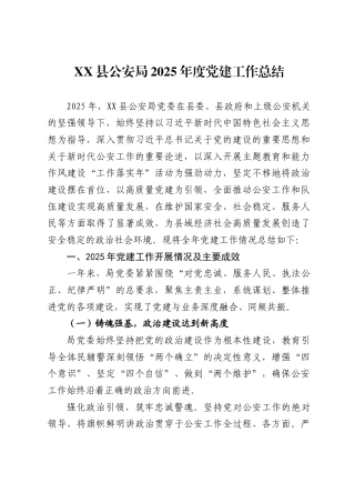 XX县公安局2025年度党建工作总结