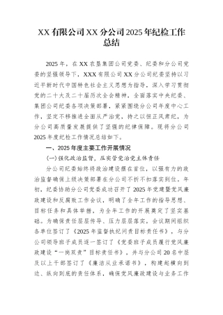 XX有限公司XX分公司2025年纪检工作总结