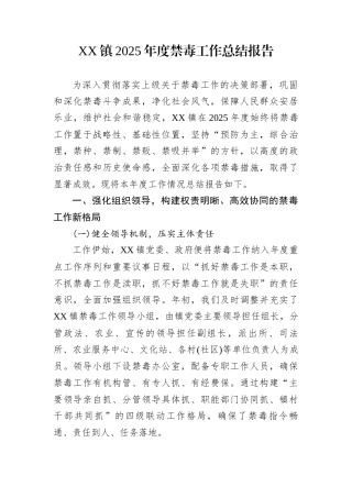 XX镇2025年度禁毒工作总结报告