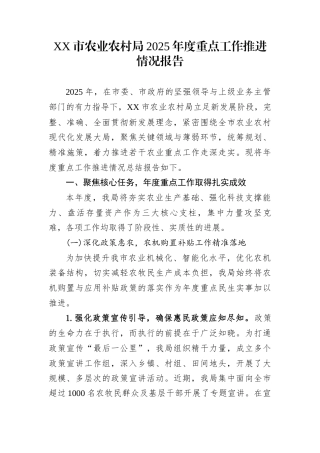 XX市农业农村局2025年度重点工作推进情况报告
