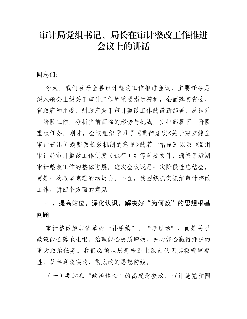 审计局党组书记、局长在审计整改工作推进会议上的讲话_第1页