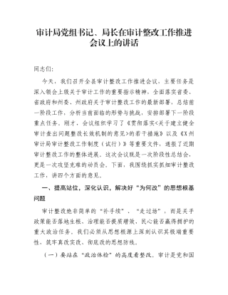 审计局党组书记、局长在审计整改工作推进会议上的讲话