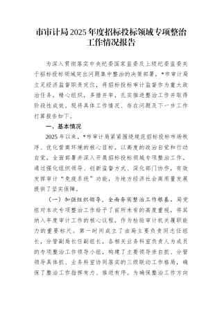 市审计局2025年度招标投标领域专项整治工作情况报告