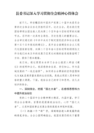 县委书记深入学习贯彻全会精神心得体会