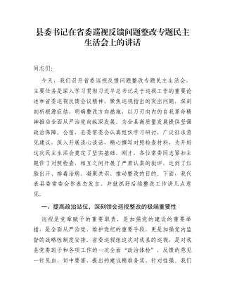 县委书记在省委巡视反馈问题整改专题民主生活会上的讲话