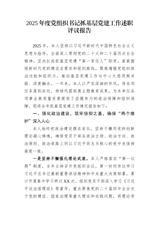 2025年度党组织书记抓基层党建工作述职评议报告 (1)