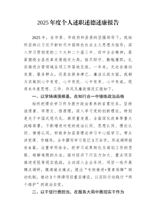 2025年度个人述职述德述廉报告