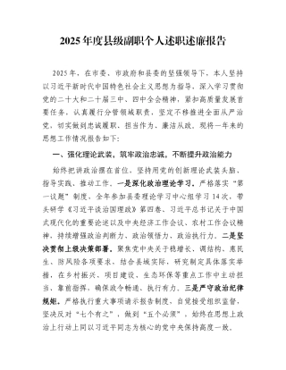2025年度县级副职个人述职述廉报告