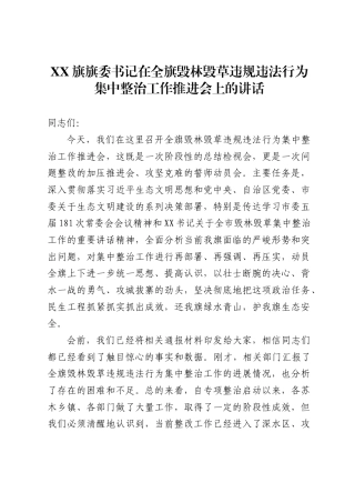 X旗旗委书记在全旗毁林毁草违规违法行为集中整治工作推进会上的讲话