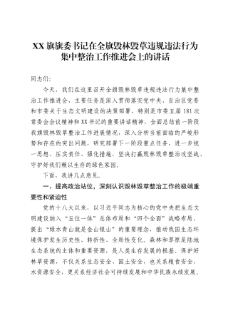 旗旗委书记在全旗毁林毁草违规违法行为集中整治工作推进会上的讲话