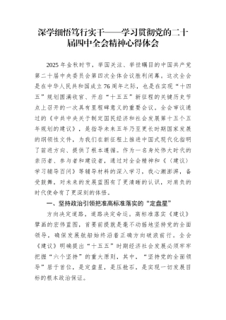 深学细悟笃行实干——学习贯彻党的二十届四中全会精神心得体会
