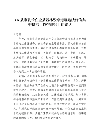 县副县长在全县毁林毁草违规违法行为集中整治工作推进会上的讲话