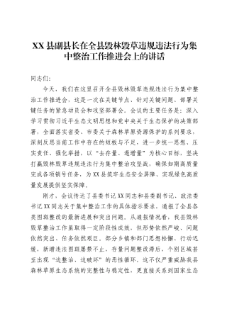 县副县长在全县毁林毁草违规违法行为集中整治工作推进会上的讲话1