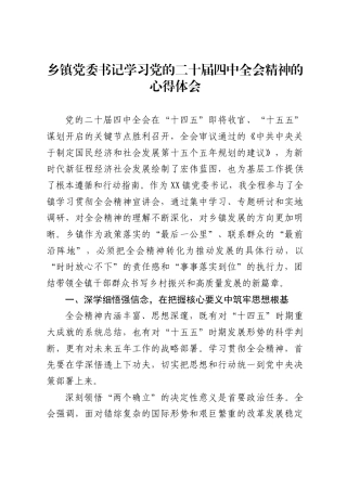乡镇党委书记学习党的二十届四中全会精神的心得体会3