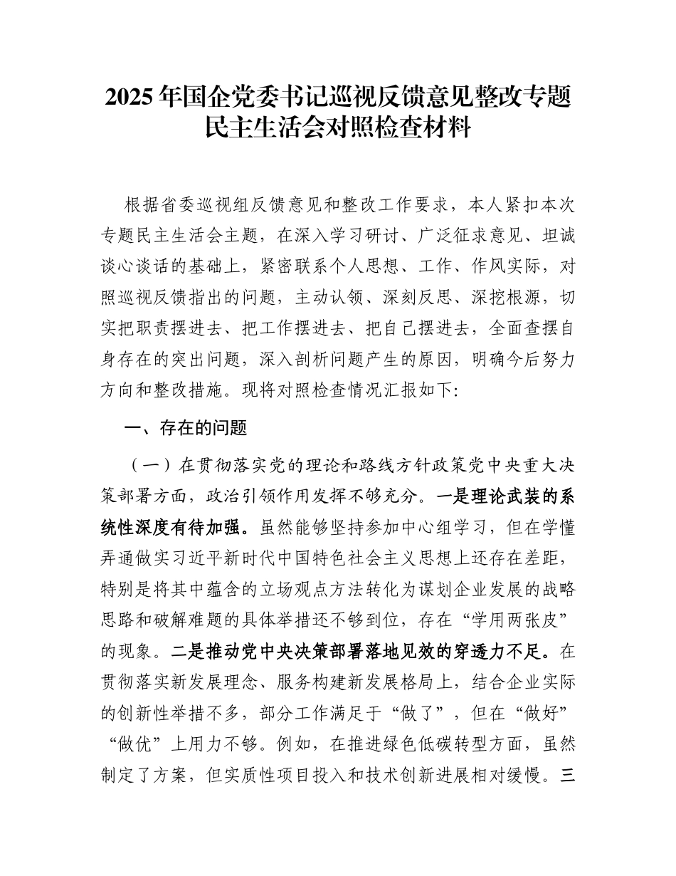 2025年国企党委书记巡视反馈意见整改专题民主生活会对照检查材料_第1页
