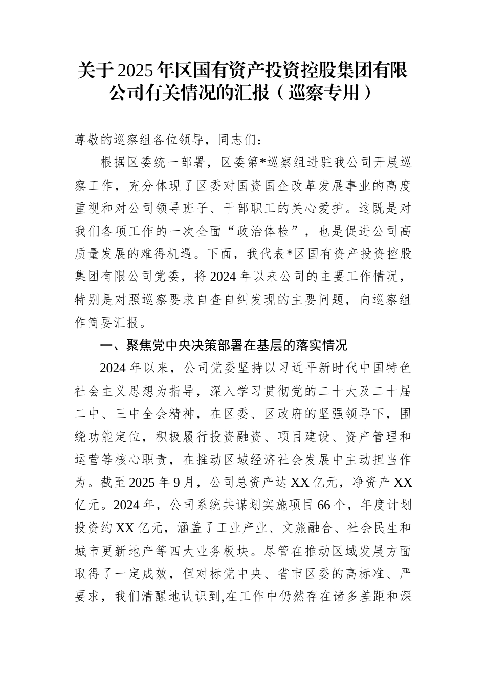 关于2025年区国有资产投资控股集团有限公司有关情况的汇报（巡察专用）_第1页
