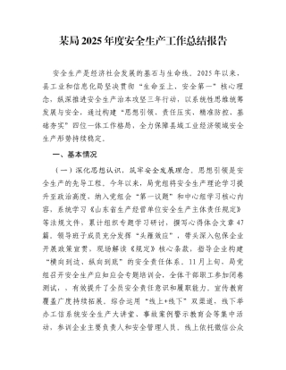 某局2025年度安全生产工作总结报告