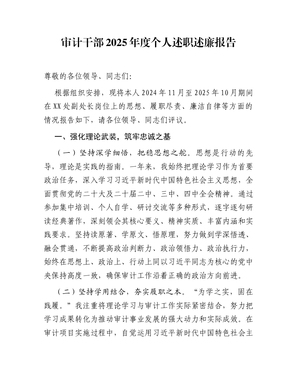 审计干部2025年度个人述职述廉报告_第1页